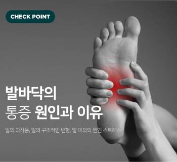 신제품 프로모션